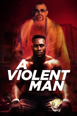 A Violent Man 2017 Hindi Dual Audio [960MB] Movie Poster