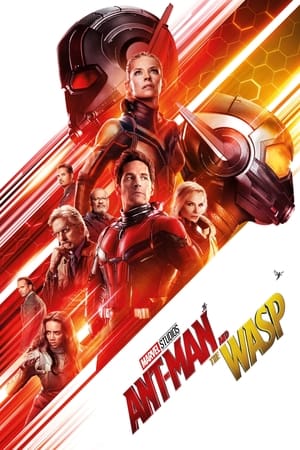 Ant Man and the Wasp (2018) Hindi (Org) Dual Audio [1.1GB] Movie Poster