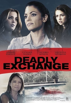 Deadly Exchange 2017 Hindi Dual Audio 300MB Movie Poster