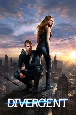 Divergent (2014) Hindi Dual Audio 450MB Movie Poster