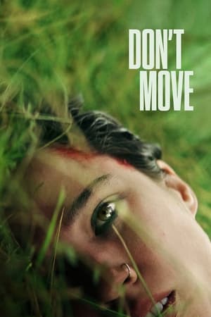 Dont Move 2024 Hindi ORG Dual Audio – – Movie Poster