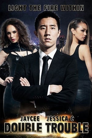 Double Trouble (2012) Hindi Dual Audio [800MB] Movie Poster