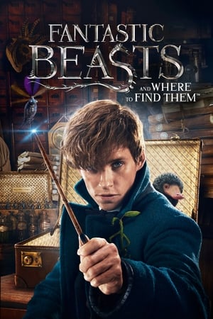 Fantastic Beasts and Where to Find Them 2016 HC [] 400MB Movie Poster