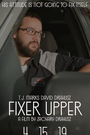 Fixer Upper (2019) Hindi Dual Audio 300MB Movie Poster