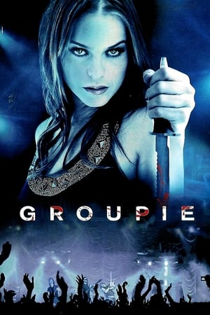 Groupie (2010) Hindi Dual Audio [1.1GB] Movie Poster