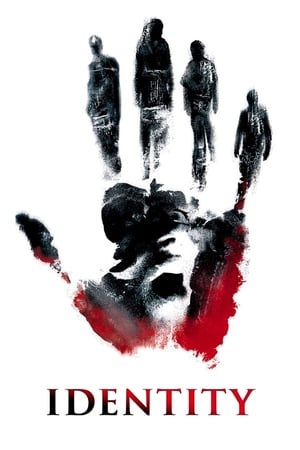Identity 2003 Hindi Dual Audio [700MB] Movie Poster