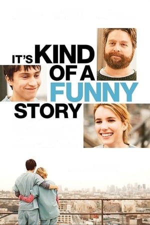 Its Kind of a Funny Story 2010 Hindi Dual Audio 330MB Movie Poster