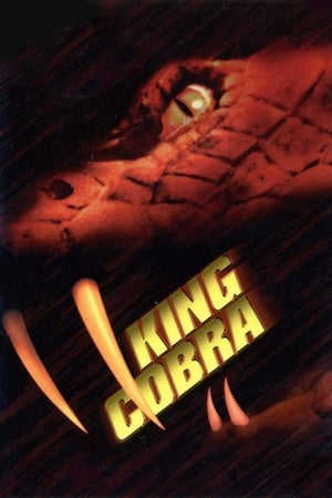 King Cobra 1999 Hindi Dual Audio 300MB Movie Poster