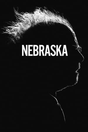 Nebraska 2013 Dual Audio Hindi 300MB Movie Poster