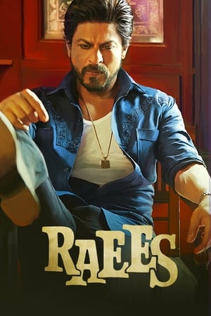 Raees (2017) 400MB Full Movie Download Movie Poster