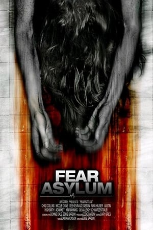 Room 33 (2009) Hindi Dual Audio [770MB] Movie Poster
