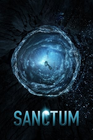 Sanctum (2011) Hindi Dual Audio 400MB Movie Poster