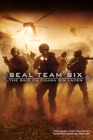 Seal Team Six: The Raid on Osama Bin Laden (2012) Hindi Dual Audio 300MB Movie Poster