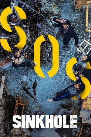 Sinkhole (2021) Hindi Dual Audio – 720p – Movie Poster