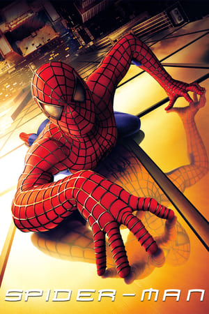 Spider Man (2002) Hindi Dual Audio [800MB] Download Movie Poster