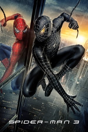 Spiderman 3 (2007) 100mb Hindi Dual Audio movie Download Movie Poster