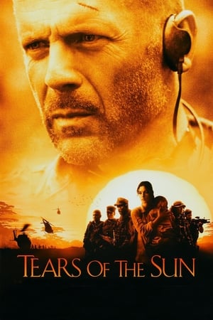 Tears of the Sun 2003 Hindi Dual Audio [970MB] Movie Poster
