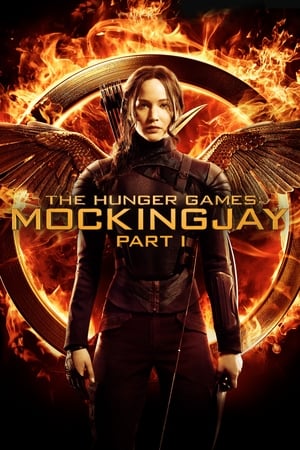 The Hunger Games: Mockingjay - Part 1 (2014) Hindi Dual Audio [1.1GB] Movie Poster