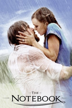 The Notebook 2004 Dual Audio Hindi Full Movie - 1GB Movie Poster