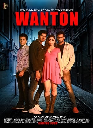 Wanton (2020) Hindi Movie [850MB] Movie Poster