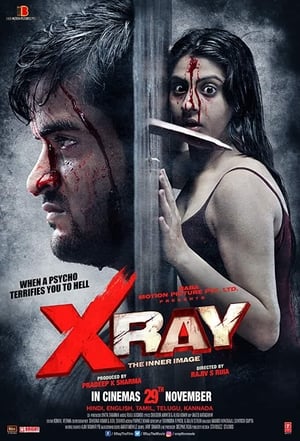 X Ray The Inner Image 2019 Movie - [300MB] Movie Poster
